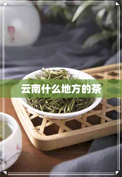 云南什么地方的茶