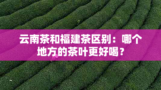 云南茶和福建茶区别：哪个地方的茶叶更好喝？