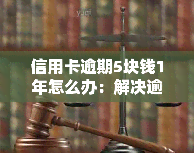 信用卡逾期5块钱1年怎么办：解决逾期还款的完整指南