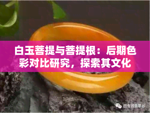 白玉菩提与菩提根：后期色彩对比研究，探索其文化与宗教意义