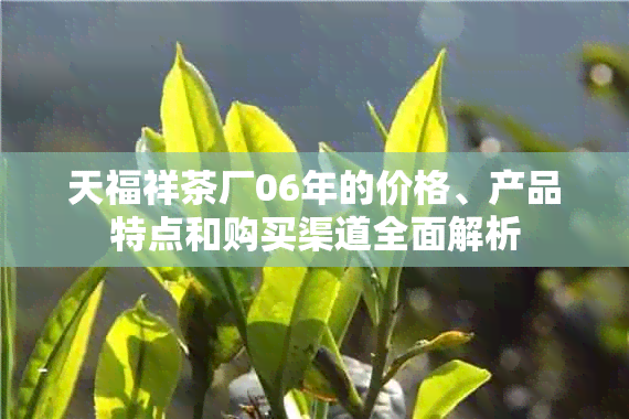 天福祥茶厂06年的价格、产品特点和购买渠道全面解析