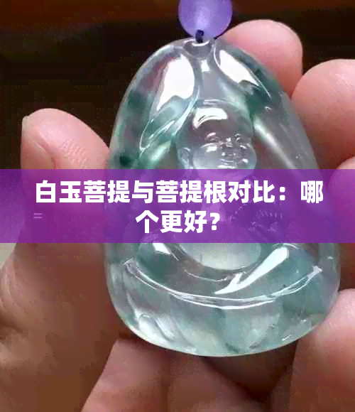 白玉菩提与菩提根对比：哪个更好？