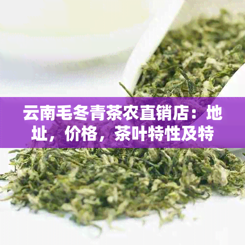 云南毛冬青茶农直销店：地址，价格，茶叶特性及特产介绍