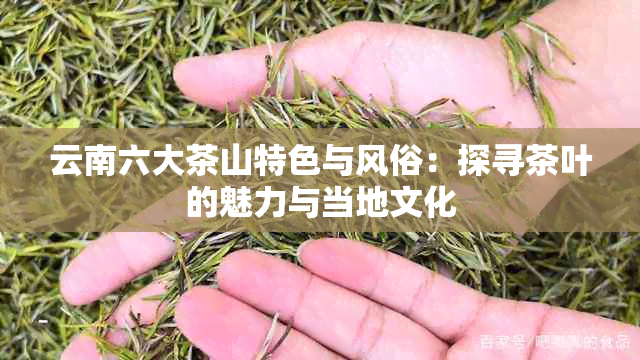 云南六大茶山特色与风俗：探寻茶叶的魅力与当地文化