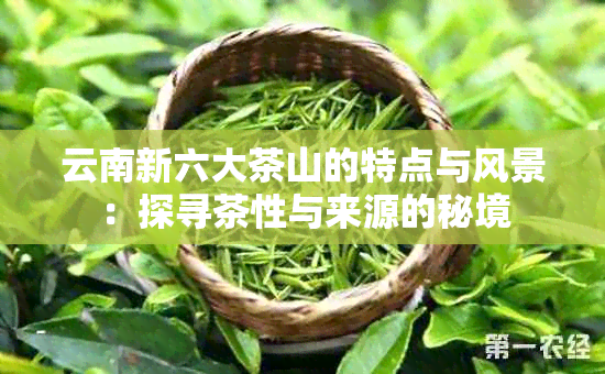 云南新六大茶山的特点与风景：探寻茶性与来源的秘境