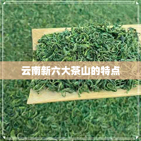 云南新六大茶山的特点