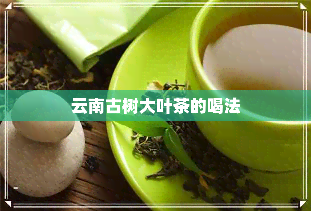 云南古树大叶茶的喝法