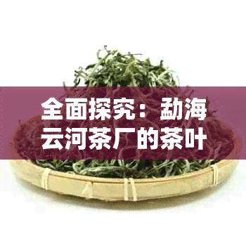 全面探究：勐海云河茶厂的茶叶质量，从产地、工艺到口感的全方位评价