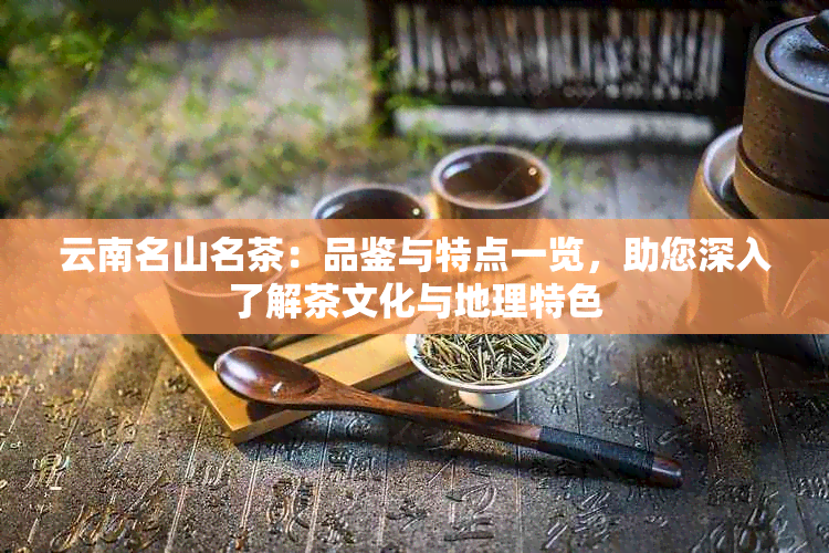 云南名山名茶：品鉴与特点一览，助您深入了解茶文化与地理特色