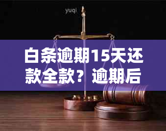 白条逾期15天还款全款？逾期后果、还款方式及期申请全面解析！