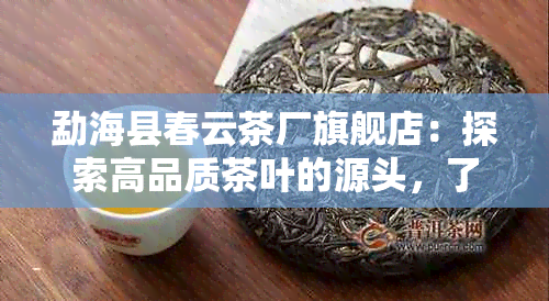 勐海县春云茶厂旗舰店：探索高品质茶叶的源头，了解制茶工艺与品种选择