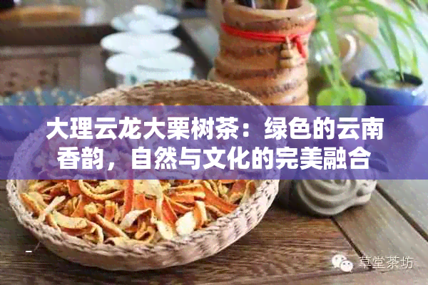 大理云龙大栗树茶：绿色的云南香韵，自然与文化的完美融合