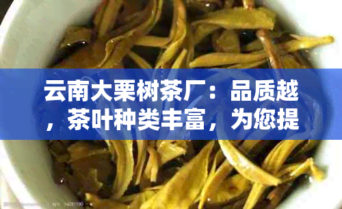 云南大栗树茶厂：品质越，茶叶种类丰富，为您提供全方位的茶艺体验