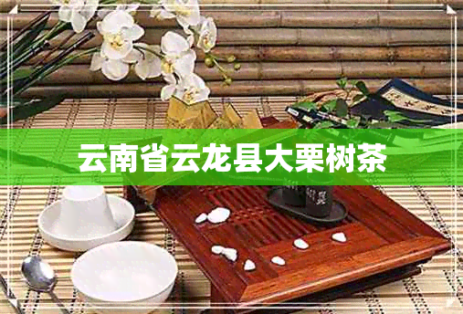 云南省云龙县大栗树茶