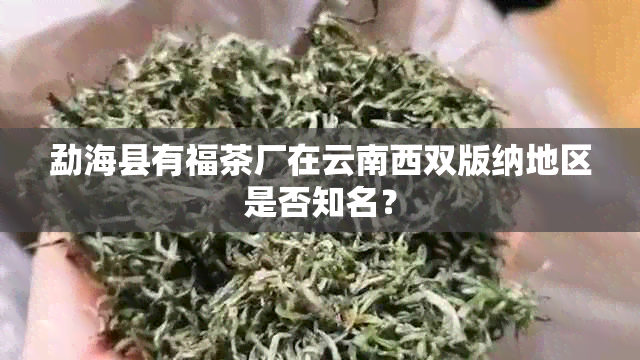 勐海县有福茶厂在云南西双版纳地区是否知名？