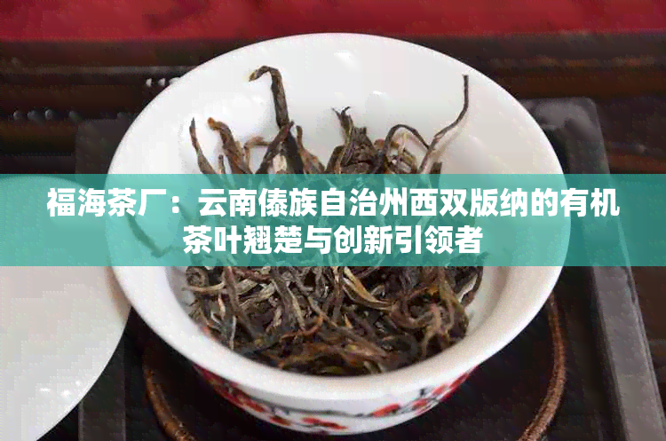 福海茶厂：云南傣族自治州西双版纳的有机茶叶翘楚与创新引领者