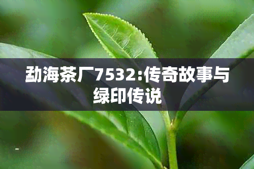 勐海茶厂7532:传奇故事与绿印传说