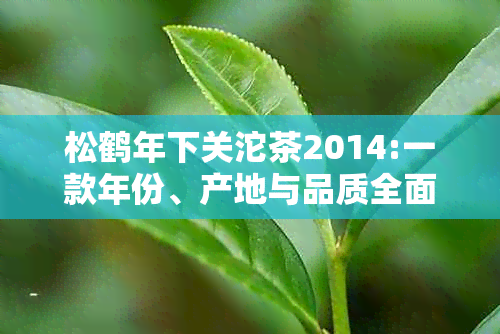 松鹤年下关沱茶2014:一款年份、产地与品质全面解析的优质茶叶