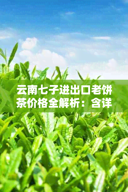 云南七子进出口老饼茶价格全解析：含详细信息和市场行情