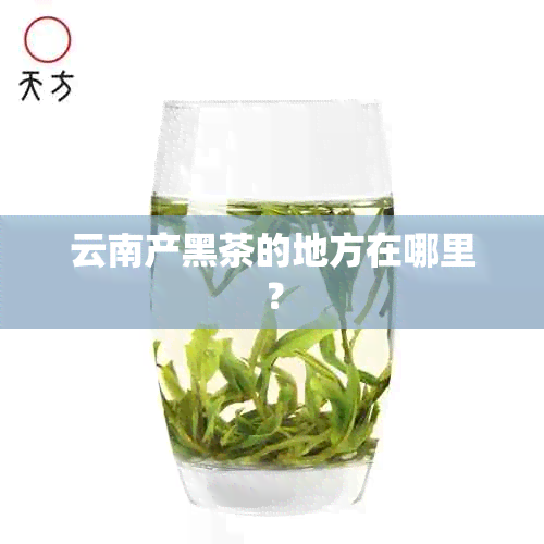 云南产黑茶的地方在哪里？