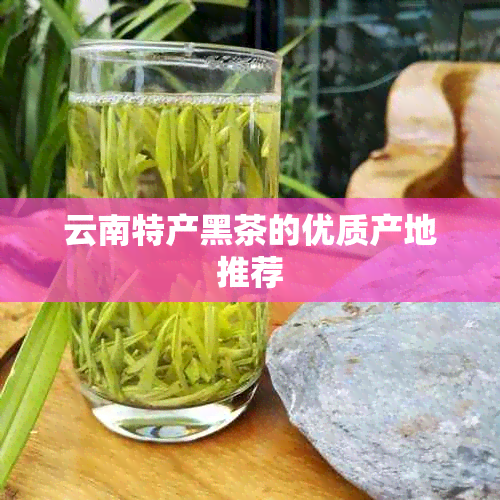 云南特产黑茶的优质产地推荐