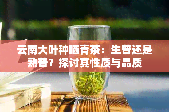 云南大叶种晒青茶：生普还是熟普？探讨其性质与品质