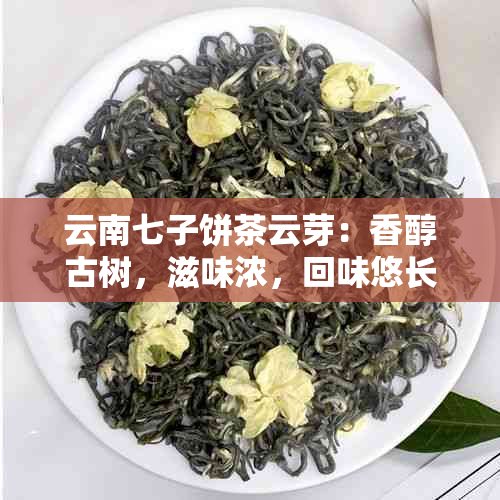 云南七子饼茶云芽：香醇古树，滋味浓，回味悠长，品茗享受