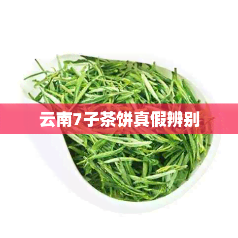 云南7子茶饼真假辨别