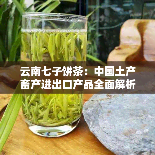 云南七子饼茶：中国土产畜产进出口产品全面解析与购买指南