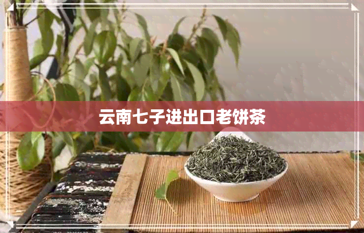 云南七子进出口老饼茶