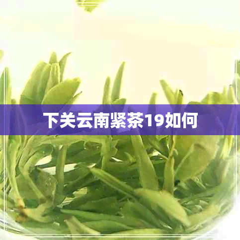 下关云南紧茶19如何