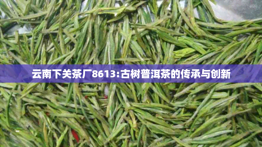 云南下关茶厂8613:古树普洱茶的传承与创新