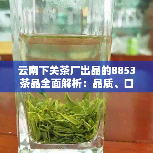 云南下关茶厂出品的8853茶品全面解析：品质、口感、产地与制作工艺详解