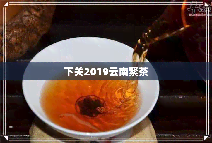 下关2019云南紧茶