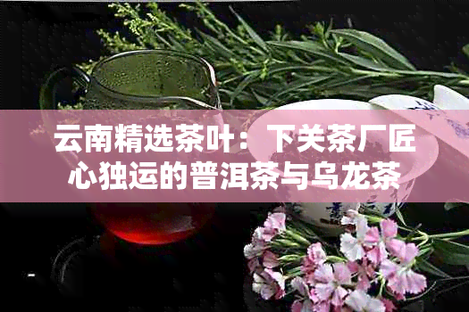 云南精选茶叶：下关茶厂匠心独运的普洱茶与乌龙茶