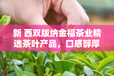 新 西双版纳金福茶业精选茶叶产品，口感醇厚，营养丰富