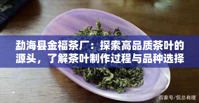 勐海县金福茶厂：探索高品质茶叶的源头，了解茶叶制作过程与品种选择