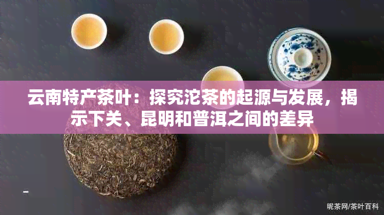 云南特产茶叶：探究沱茶的起源与发展，揭示下关、昆明和普洱之间的差异