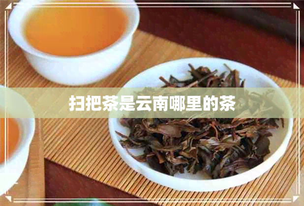 扫把茶是云南哪里的茶