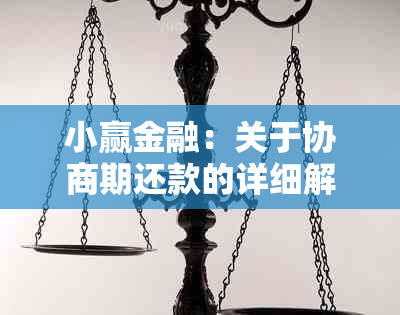 小赢金融：关于协商期还款的详细解释与建议