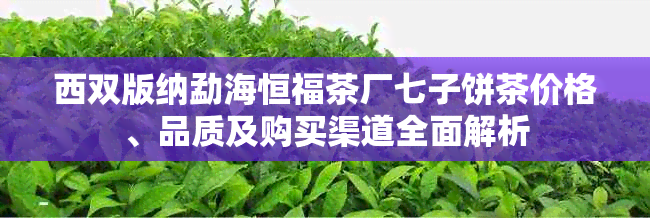 西双版纳勐海恒福茶厂七子饼茶价格、品质及购买渠道全面解析