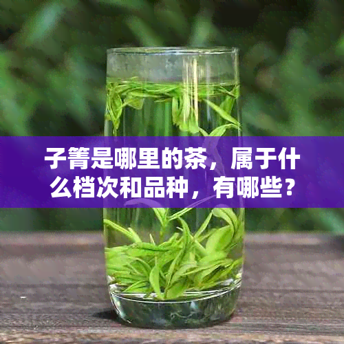 子箐是哪里的茶，属于什么档次和品种，有哪些？