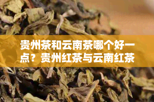 贵州茶和云南茶哪个好一点？贵州红茶与云南红茶的区别在哪里？