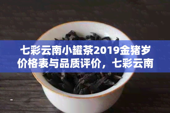 七彩云南小罐茶2019金猪岁价格表与品质评价，七彩云南茶厂官方售价全解析