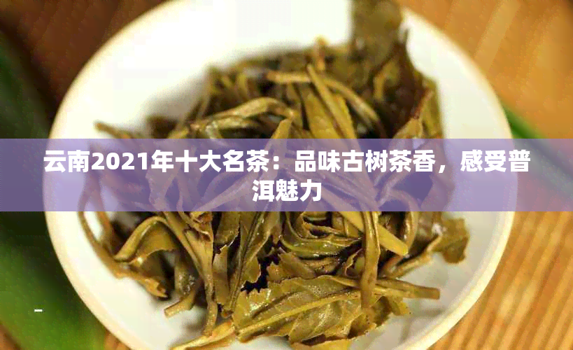 云南2021年十大名茶：品味古树茶香，感受普洱魅力