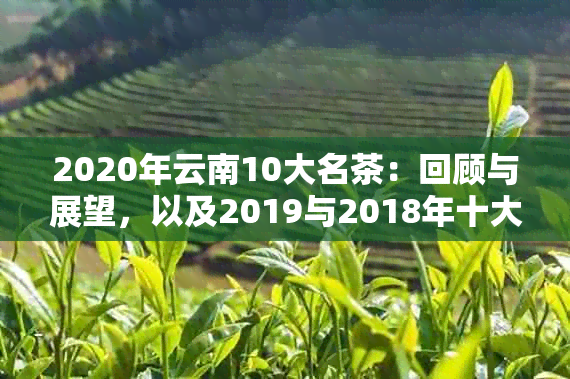 2020年云南10大名茶：回顾与展望，以及2019与2018年十大名茶对比