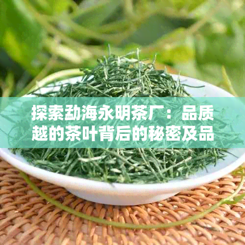 探索勐海永明茶厂：品质越的茶叶背后的秘密及品鉴技巧