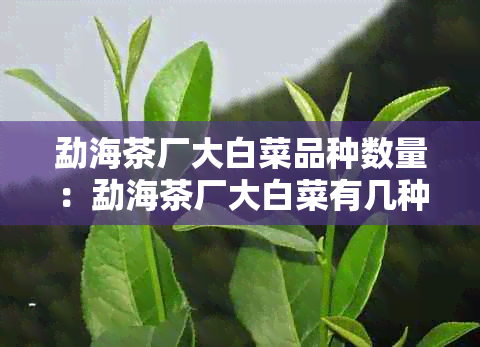 勐海茶厂大白菜品种数量：勐海茶厂大白菜有几种品种，请告诉我。