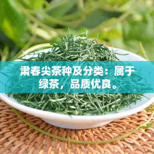 肃春尖茶种及分类：属于绿茶，品质优良。