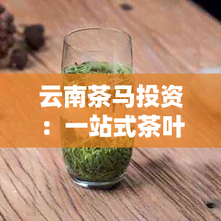 云南茶马投资：一站式茶叶与马产品投资解决方案与专业咨询服务